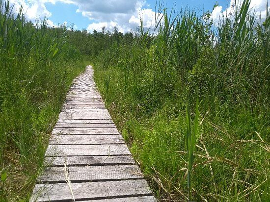 Wypożyczalnia rowerów przy Polskim Czerwonym Krzyżu